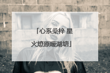 心系桑梓 星火燎原暖湖塘