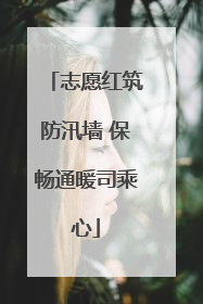 志愿红筑防汛墙 保畅通暖司乘心