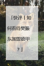 快评丨如何看待樊振东加盟德甲？