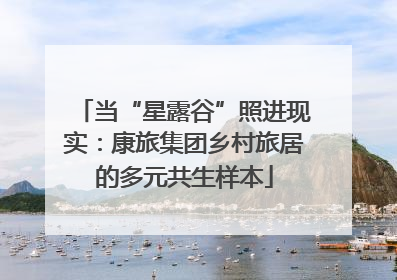 当“星露谷”照进现实：康旅集团乡村旅居的多元共生样本