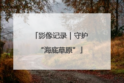 影像记录｜守护“海底草原”