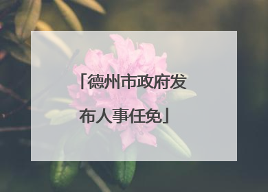 德州市政府发布人事任免