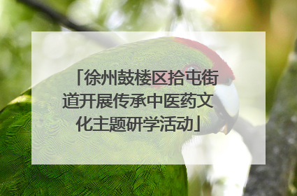 徐州鼓楼区拾屯街道开展传承中医药文化主题研学活动