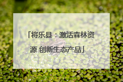 将乐县：激活森林资源 创新生态产品