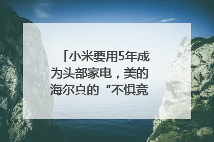 小米要用5年成为头部家电，美的海尔真的“不惧竞争”？｜热财经