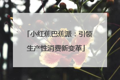 小红蕉巴蕉派：引领生产性消费新变革