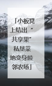 小板凳上结出“共享果” 私垦菜地变身睦邻农场