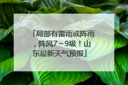 局部有雷雨或阵雨，阵风7～9级！山东最新天气预报