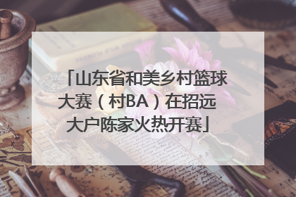 山东省和美乡村篮球大赛（村BA）在招远大户陈家火热开赛