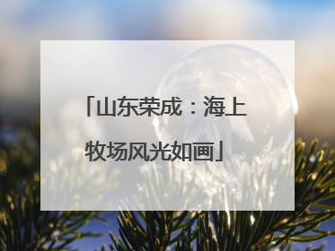 山东荣成：海上牧场风光如画