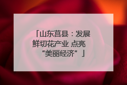 山东莒县：发展鲜切花产业 点亮“美丽经济”