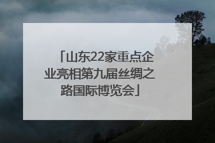 山东22家重点企业亮相第九届丝绸之路国际博览会