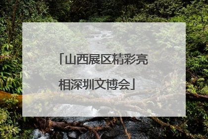 山西展区精彩亮相深圳文博会