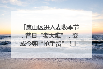 岚山区进入麦收季节，昔日“老大难”，变成今朝“抢手货”！