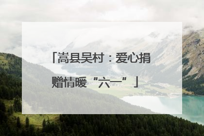 嵩县吴村：爱心捐赠情暖“六一”