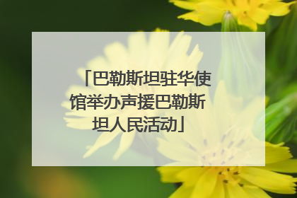 巴勒斯坦驻华使馆举办声援巴勒斯坦人民活动