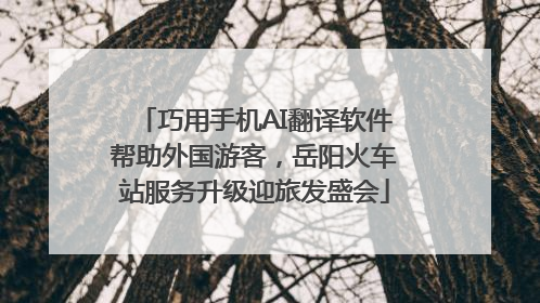 巧用手机AI翻译软件帮助外国游客，岳阳火车站服务升级迎旅发盛会