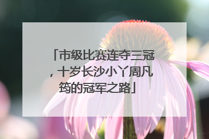 市级比赛连夺三冠，十岁长沙小丫周凡筠的冠军之路