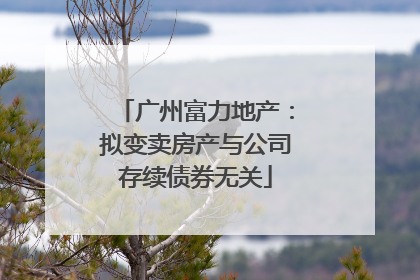 广州富力地产：拟变卖房产与公司存续债券无关