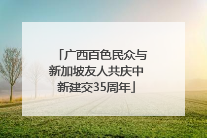 广西百色民众与新加坡友人共庆中新建交35周年