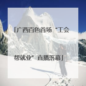 广西百色首场“工会帮就业”直播落幕