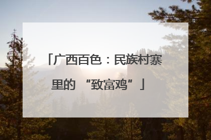 广西百色：民族村寨里的 “致富鸡”