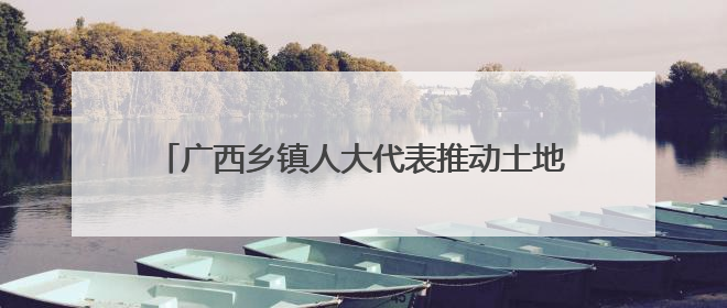广西乡镇人大代表推动土地盘活 撂荒地变“致富园”