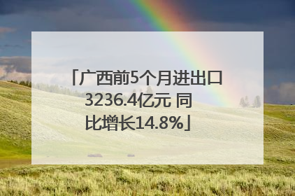 广西前5个月进出口3236.4亿元 同比增长14.8%
