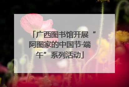 广西图书馆开展“阿图家的中国节·端午”系列活动