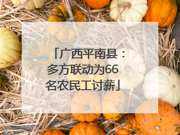 广西平南县：多方联动为66名农民工讨薪
