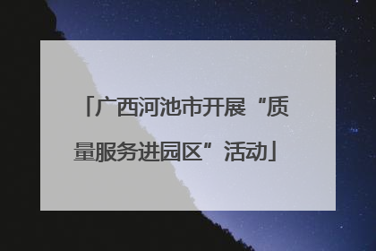 广西河池市开展“质量服务进园区”活动
