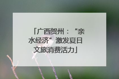 广西贺州：“亲水经济”激发夏日文旅消费活力