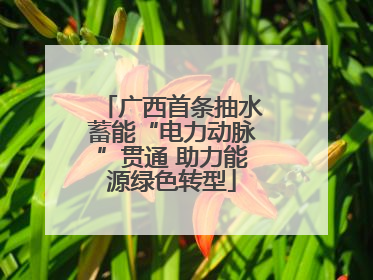 广西首条抽水蓄能“电力动脉”贯通 助力能源绿色转型