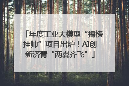 年度工业大模型“揭榜挂帅”项目出炉！AI创新济青“两翼齐飞”