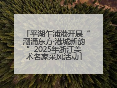 平湖乍浦港开展“潮涌东方·港城新韵”2025年浙江美术名家采风活动