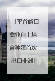 平谷峪口禽业自主培育种蛋首次出口非洲