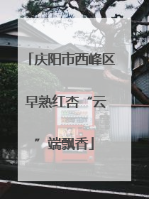 庆阳市西峰区 早熟红杏“云”端飘香