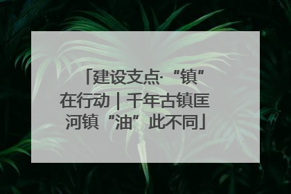 建设支点·“镇”在行动｜千年古镇匡河镇“油”此不同