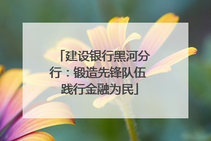 建设银行黑河分行：锻造先锋队伍 践行金融为民
