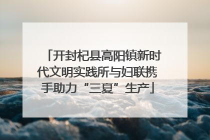 开封杞县高阳镇新时代文明实践所与妇联携手助力“三夏”生产