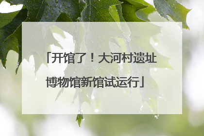 开馆了！大河村遗址博物馆新馆试运行