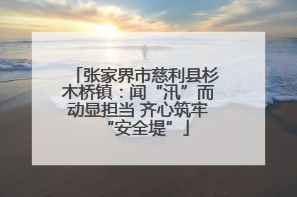 张家界市慈利县杉木桥镇：闻“汛”而动显担当 齐心筑牢“安全堤”