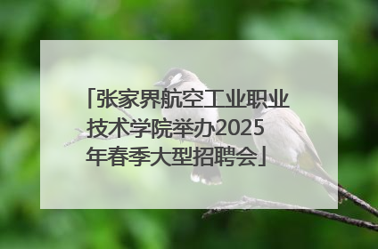 张家界航空工业职业技术学院举办2025年春季大型招聘会