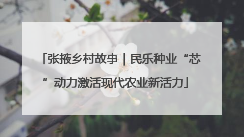 张掖乡村故事｜民乐种业“芯”动力激活现代农业新活力