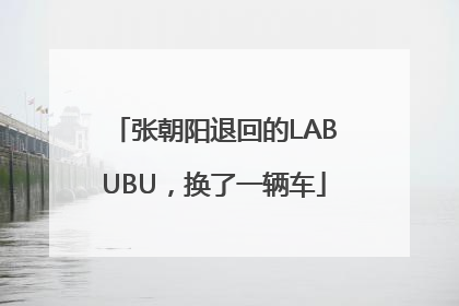 张朝阳退回的LABUBU，换了一辆车