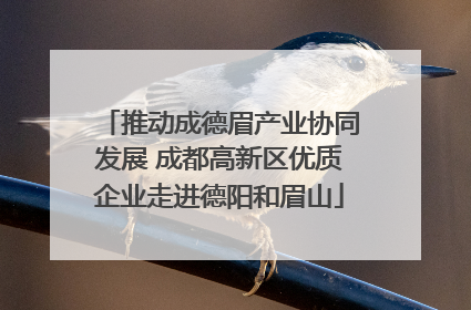 推动成德眉产业协同发展 成都高新区优质企业走进德阳和眉山