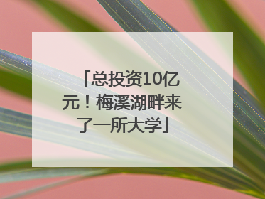 总投资10亿元！梅溪湖畔来了一所大学