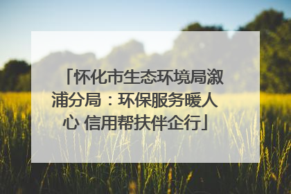 怀化市生态环境局溆浦分局：环保服务暖人心 信用帮扶伴企行