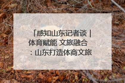 感知山东记者谈｜体育赋能 文旅融合：山东打造体商文旅融合发展新格局