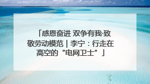 感恩奋进 双争有我·致敬劳动模范｜李宁：行走在高空的“电网卫士”